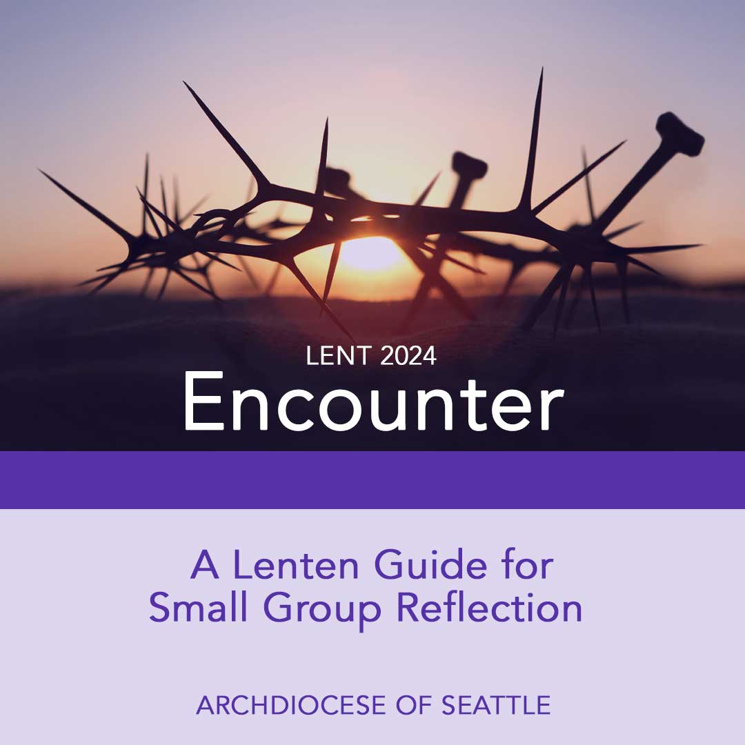 Lent 2024 Encounter Our Lady of Lourdes